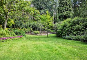 Optimiser l'expérience du jardin à Fontaine-la-Guyon